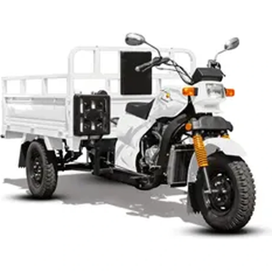 Big Boy Gomoto Loader 200 motorcycle