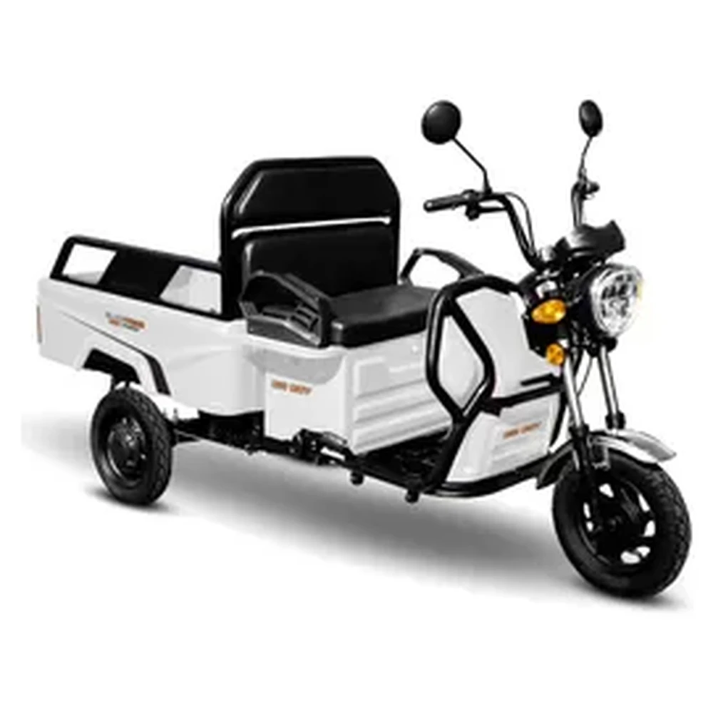Big Boy Elec-Trike 800W motorcycle